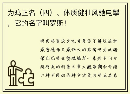 为鸡正名（四）、体质健壮风驰电掣，它的名字叫罗斯！
